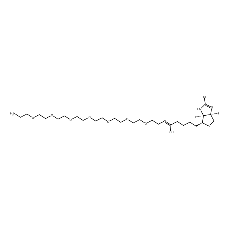 Biotin-PEG7-Amine