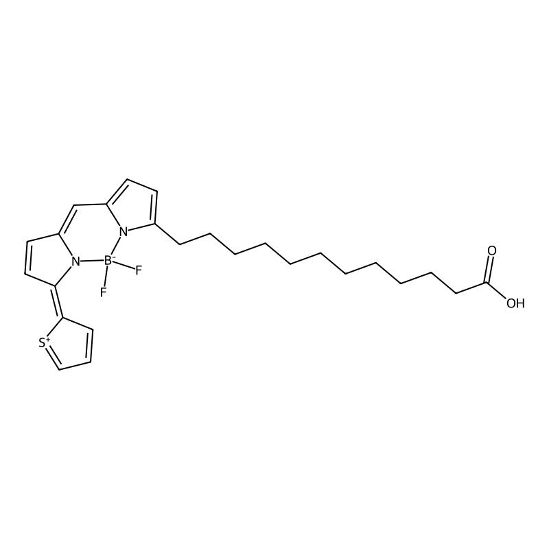 Bodipy 558/568 C12