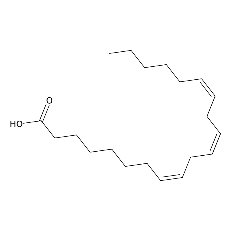 Dihomo-gamma-linolenic acid