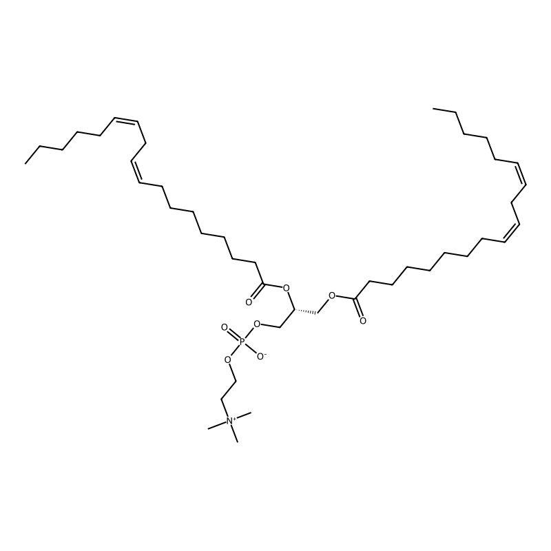 1,2-Dilinoleoyl-SN-glycero-3-phosphocholine