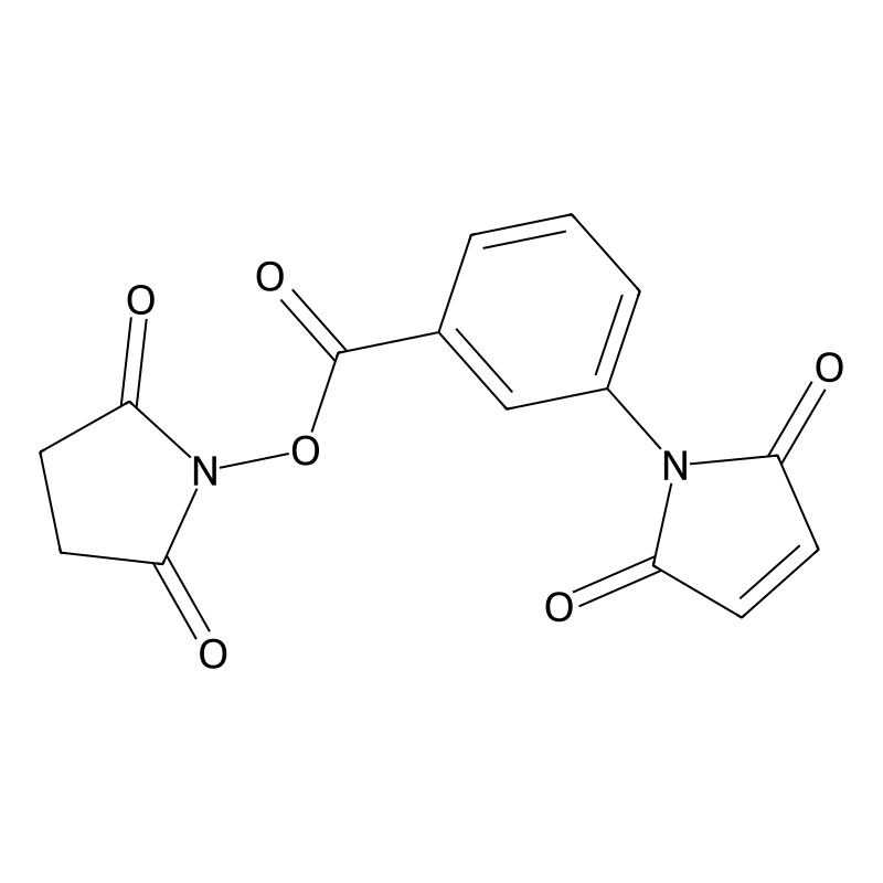 3-Maleimidobenzoic acid N-hydroxysuccinimide ester