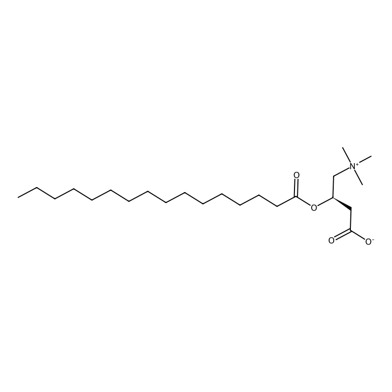 L-Palmitoylcarnitine