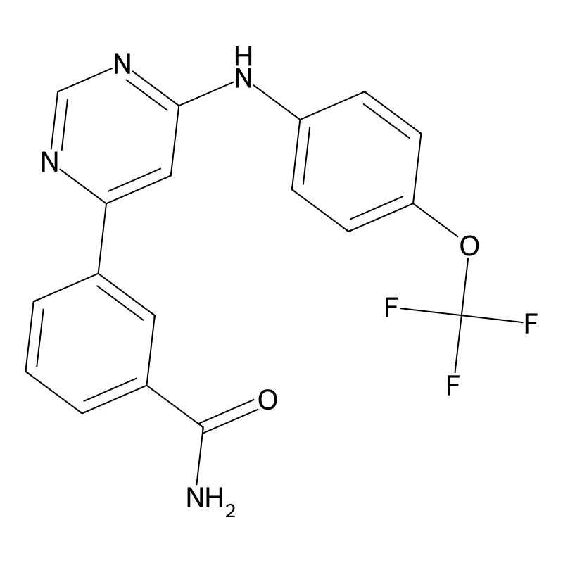 GNF-2