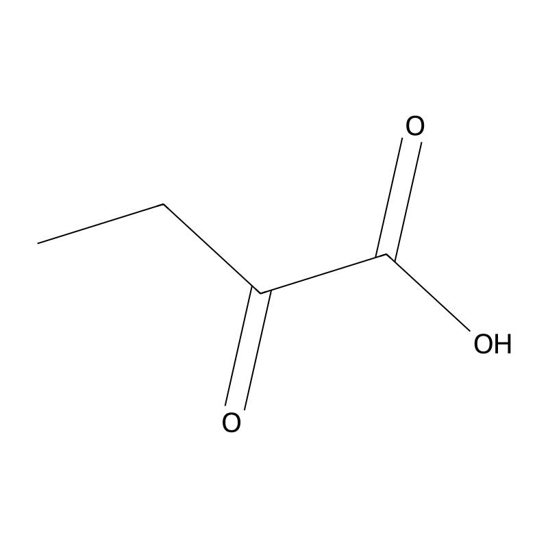 2-Oxobutanoic acid