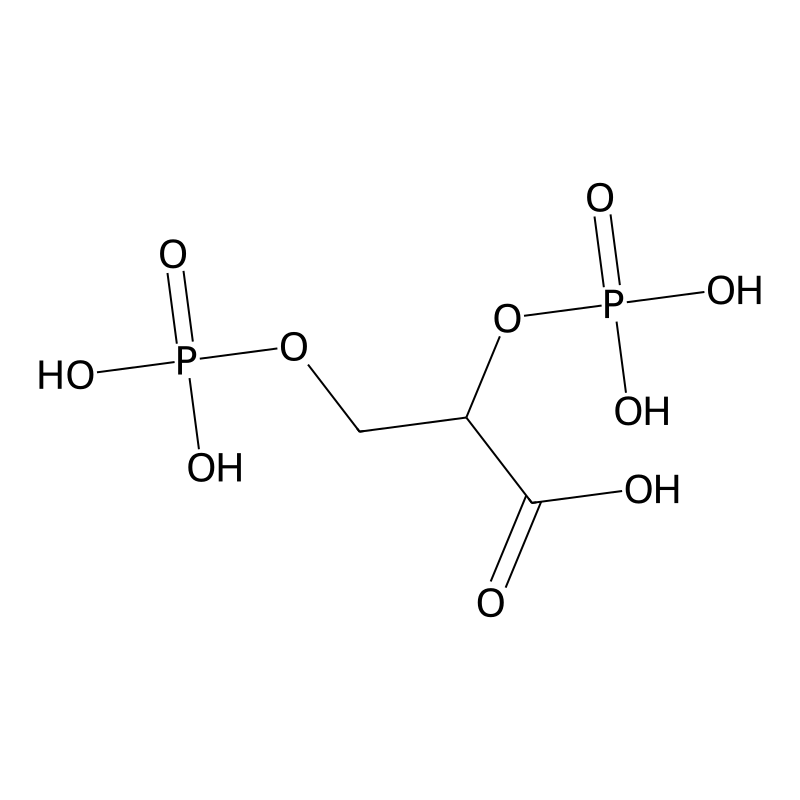 2 3 diphosphoglycerate is a molecule that