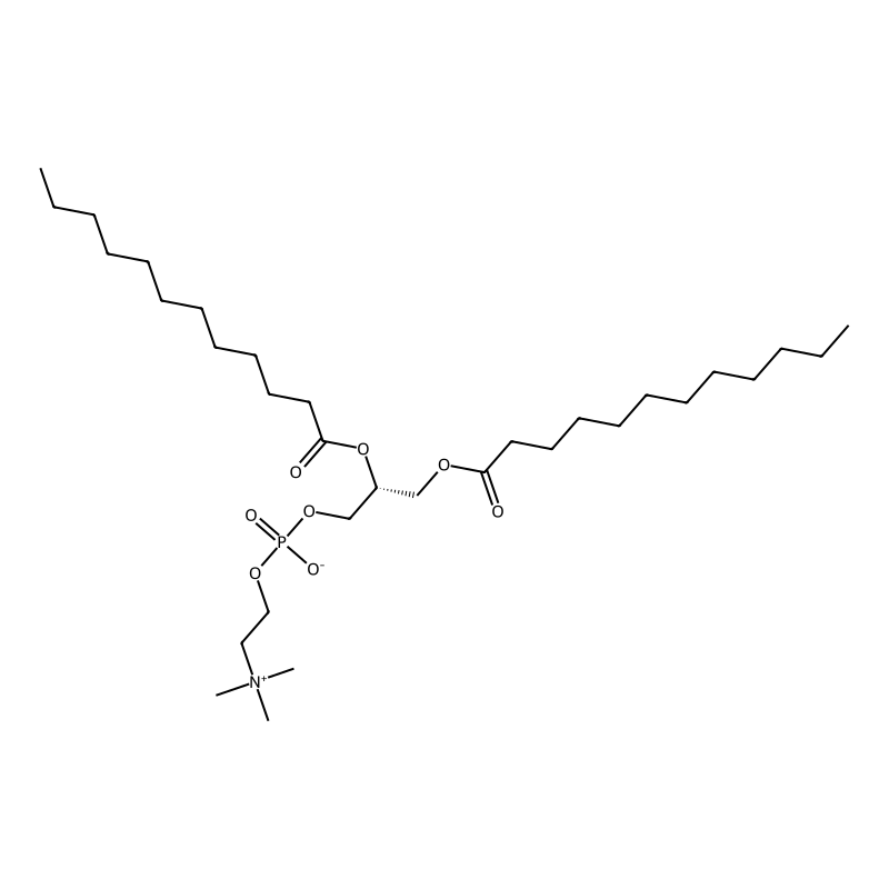 1,2-Dilauroyl-sn-glycero-3-phosphocholine