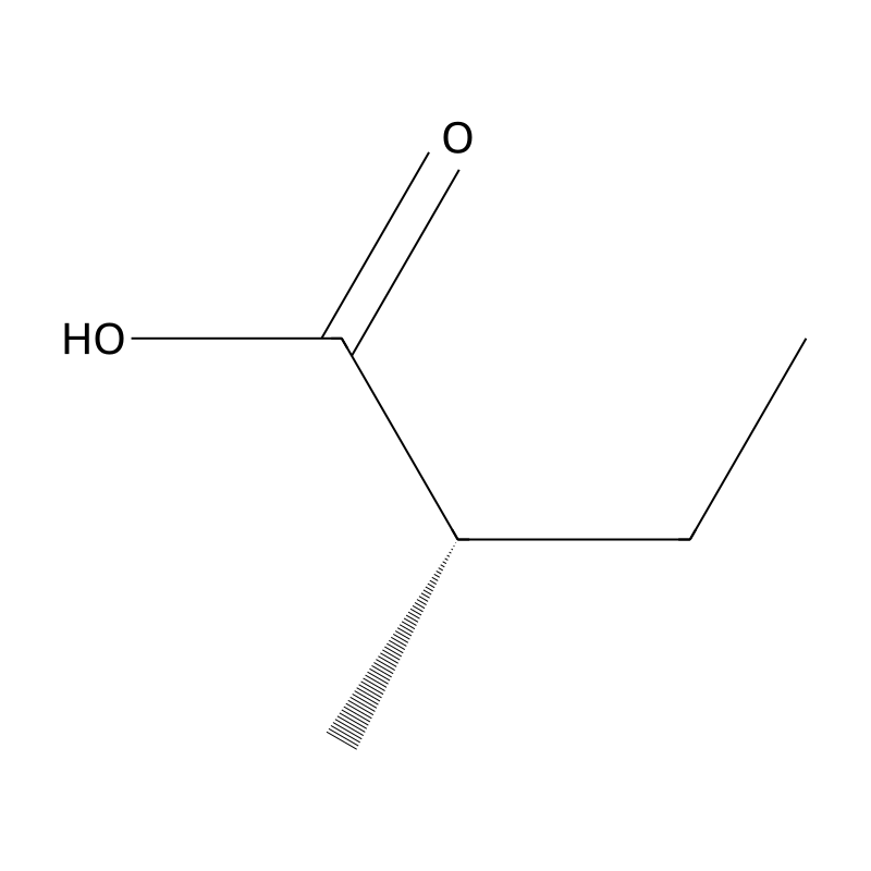 (S)-2-methylbutanoic acid