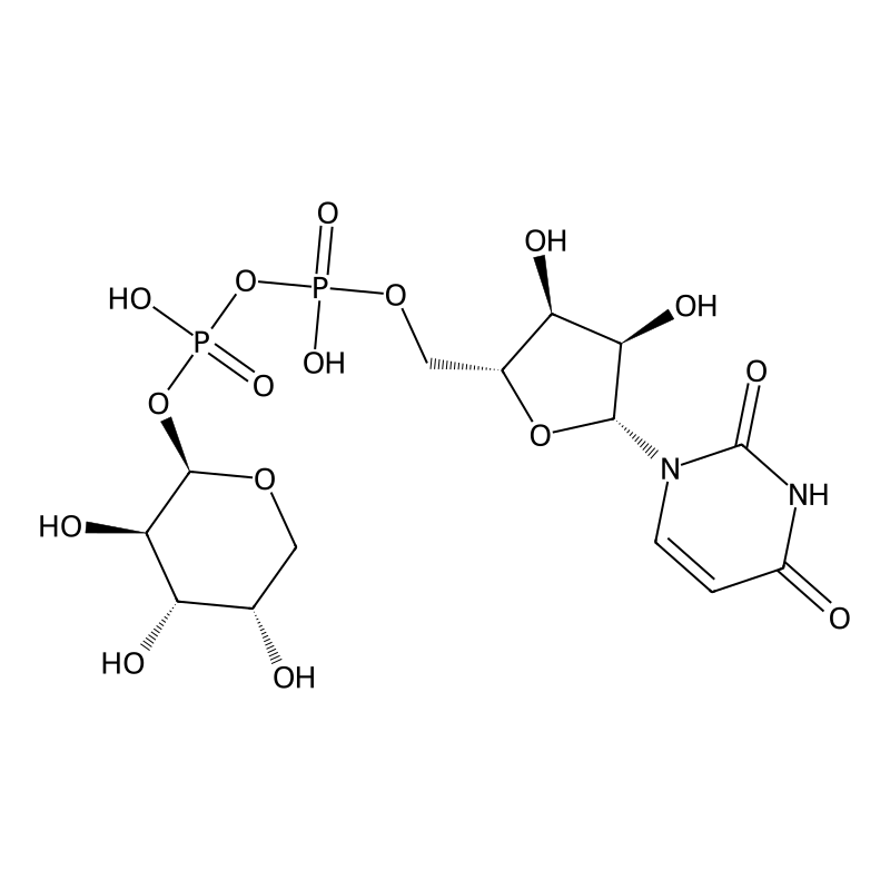 UDP-L-arabinose