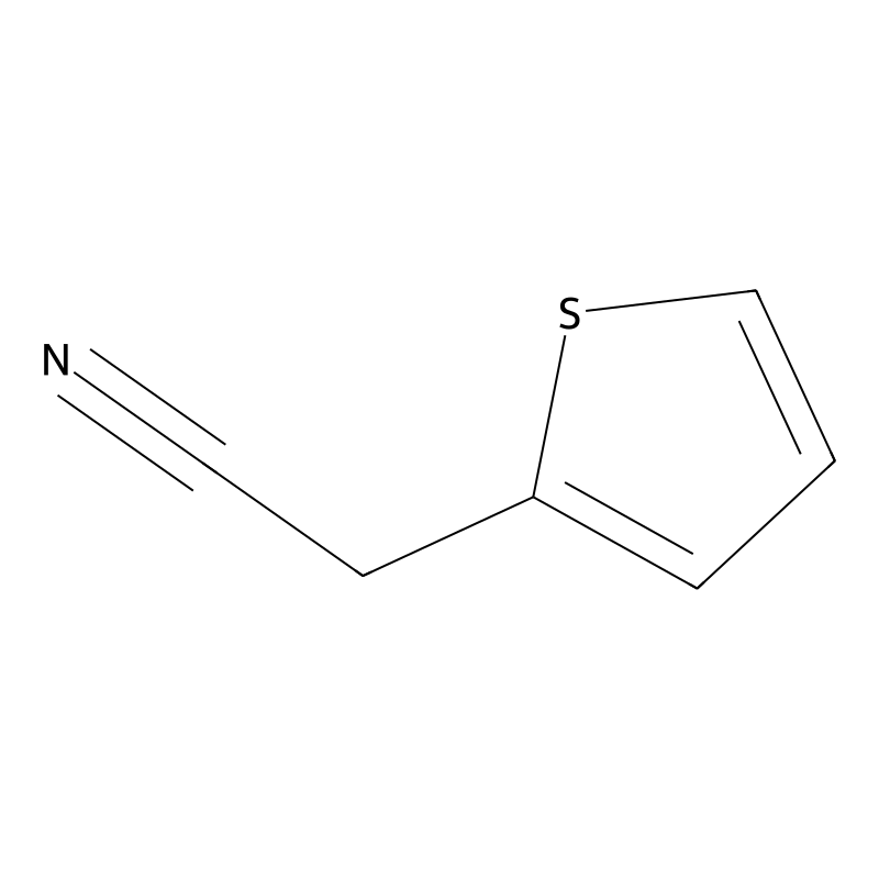 2-Thiopheneacetonitrile