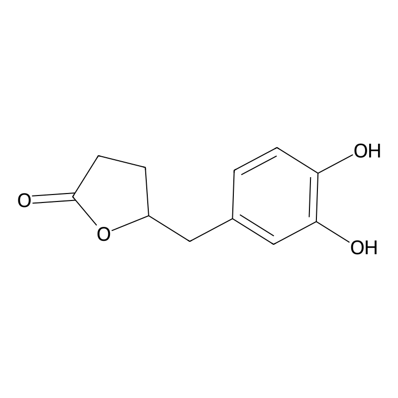 5-[(3,4-Dihydroxyphenyl)methyl]oxolan-2-one