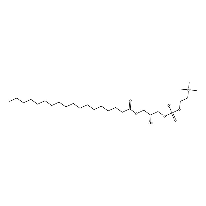 1-Stearoyl-sn-glycero-3-phosphocholine