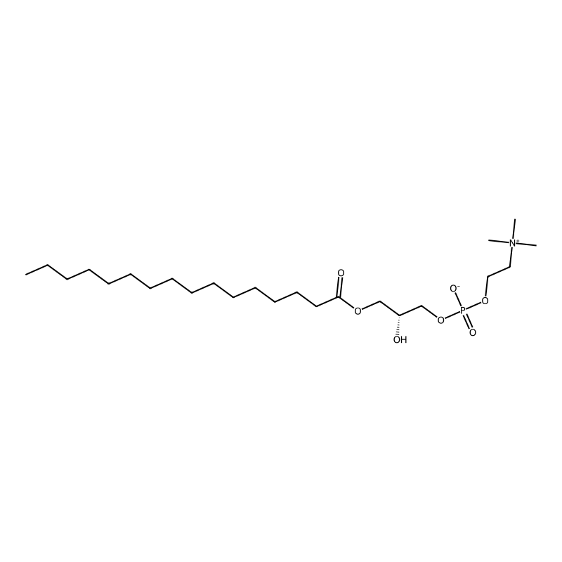 1-Palmitoyl-sn-glycero-3-phosphocholine