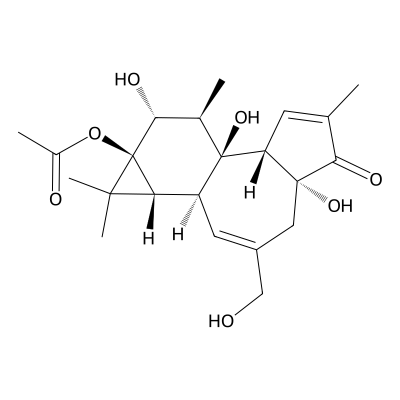 13-Acetylphorbol