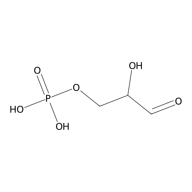 3-Phosphoglyceraldehyde