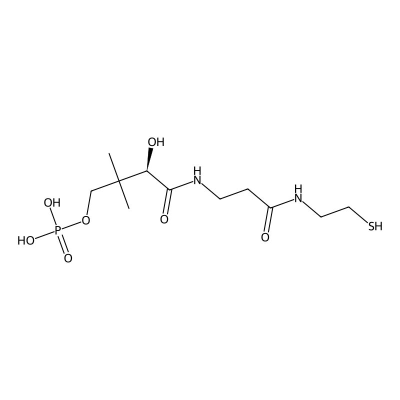 4'-Phosphopantetheine