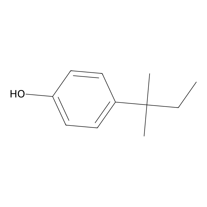 4-tert-Amylphenol