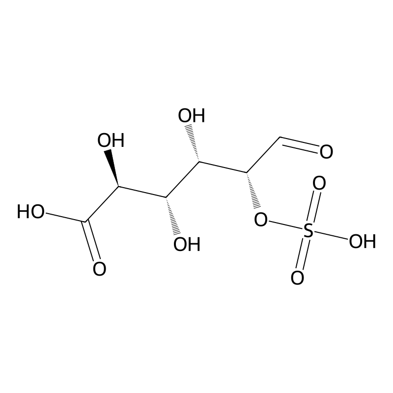 Glucuronate 2-sulfate