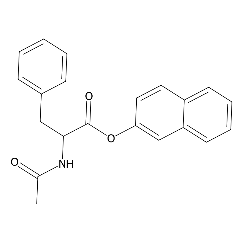 Buy N-Acetyl-DL-phenylalanine beta-naphthyl ester | 20874-31-1