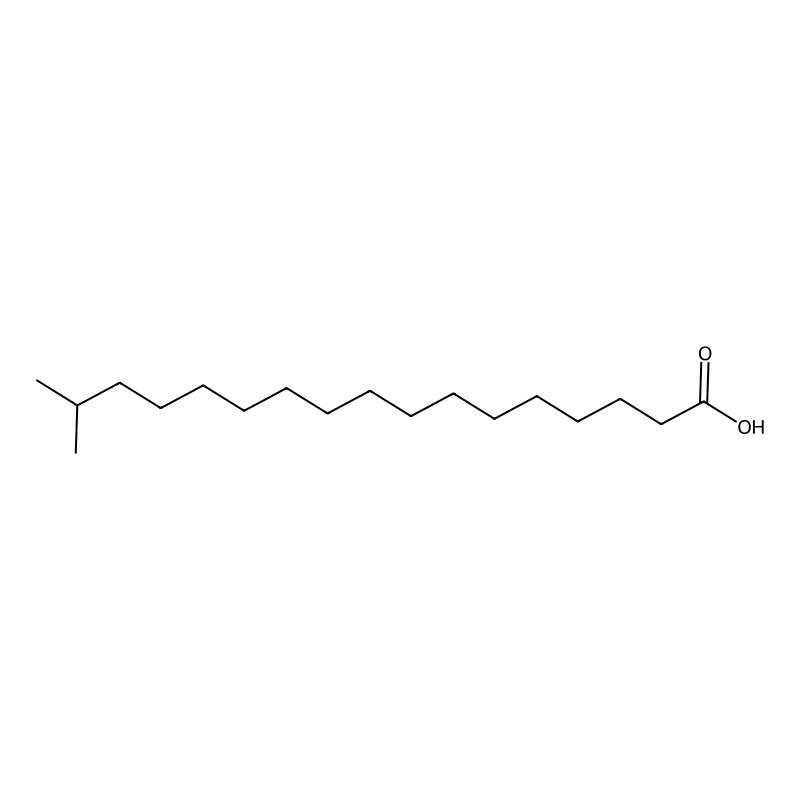 16-Methylheptadecanoic acid