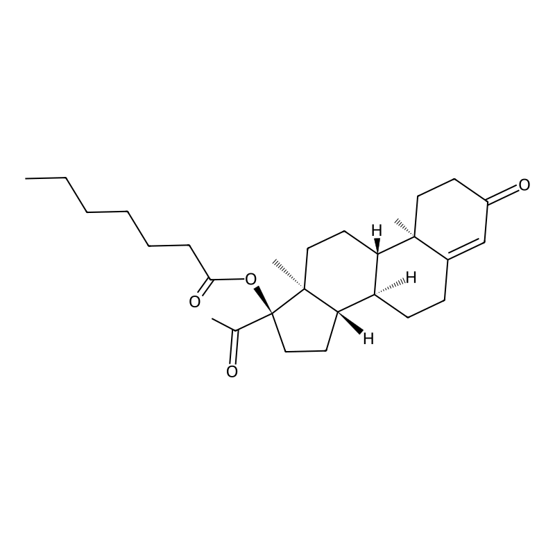 17-Hydroxyprogesterone heptanoate