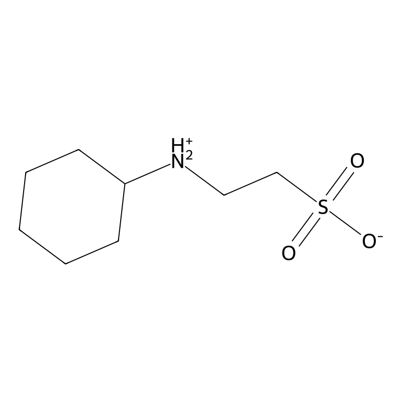 2-[N-Cyclohexylamino]ethane sulfonic acid