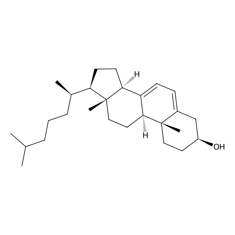 7-Dehydrocholesterol