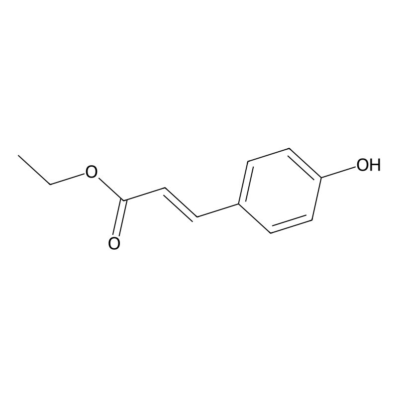 p-Coumaric acid ethyl ester