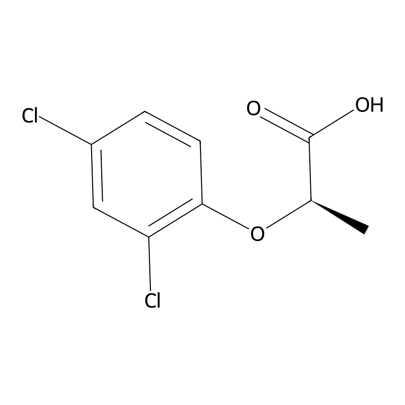 Dichlorprop-P