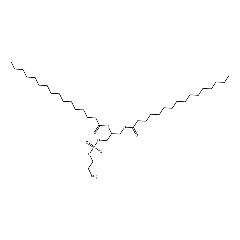 1,2-Dipalmitoyl-rac-glycero-3-phosphoethanolamine