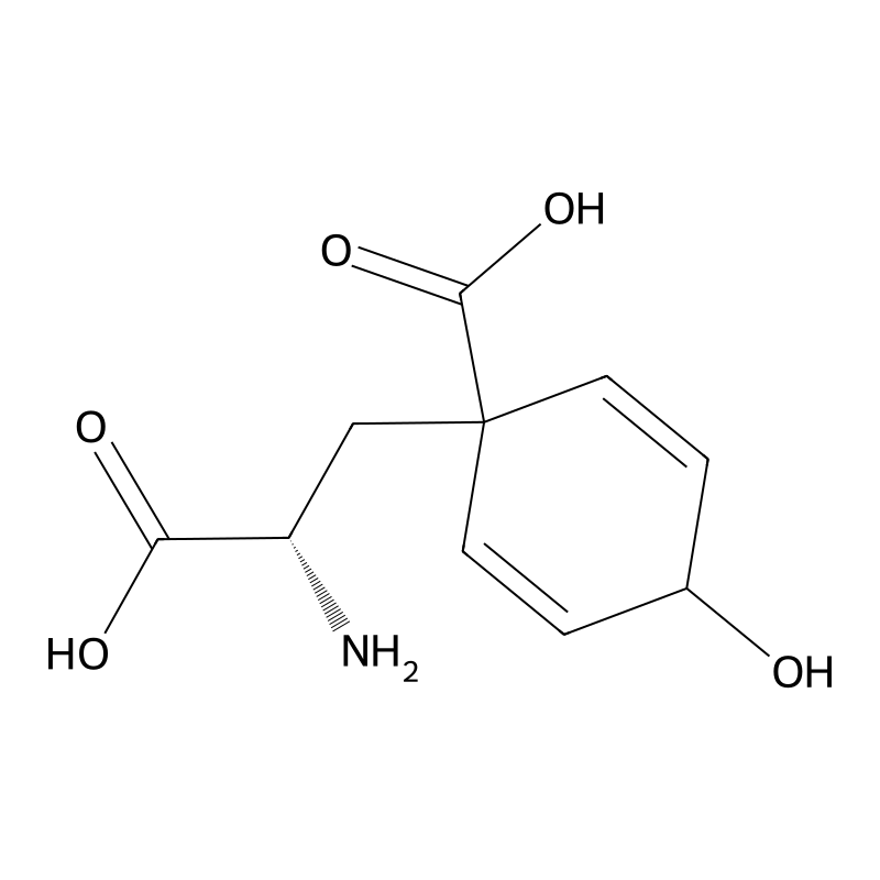 L-Arogenic acid