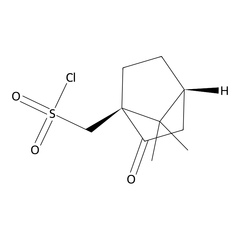 D(+)-10-Camphorsulfonyl chloride