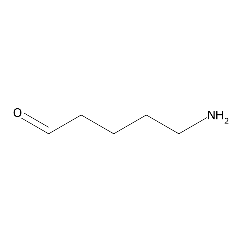 5-Aminopentanal