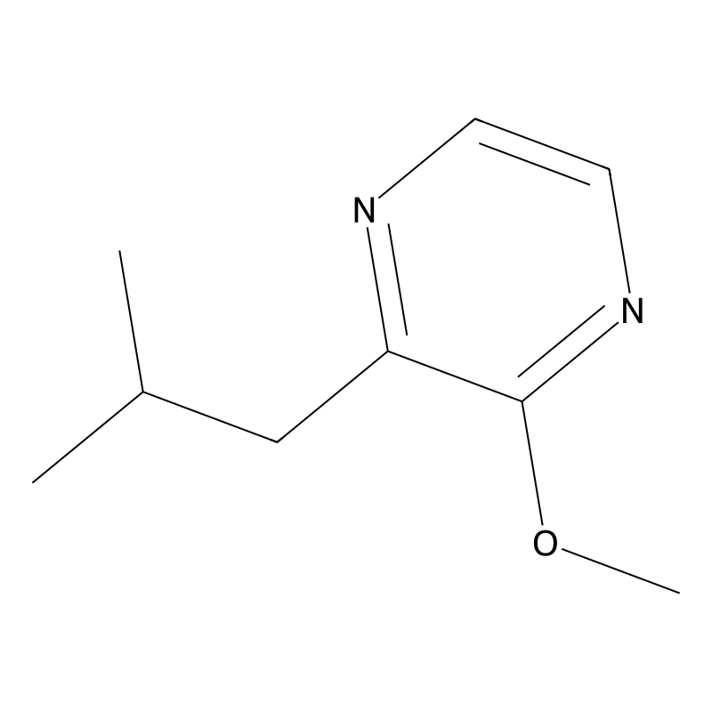 2-Isobutyl-3-methoxypyrazine