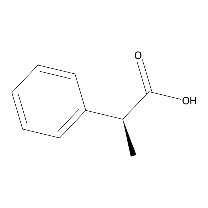 (S)-(+)-2-Phenylpropionic acid