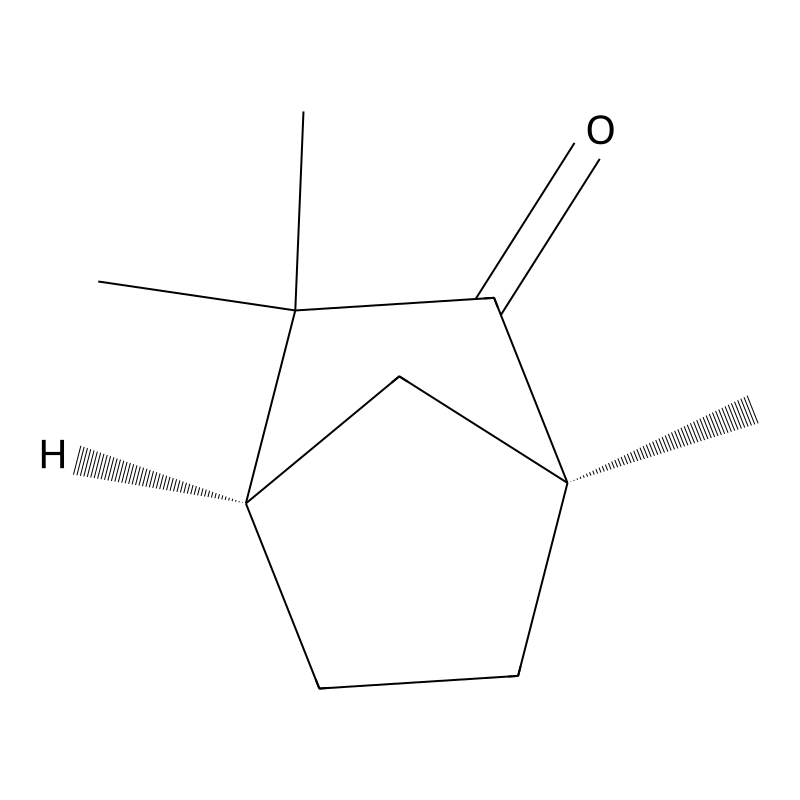 (+)-Fenchone