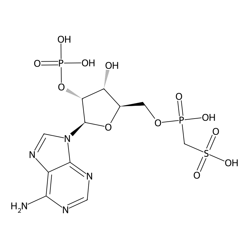 Adenosine 2'-phosphate 5'-methylenephosphosulfate