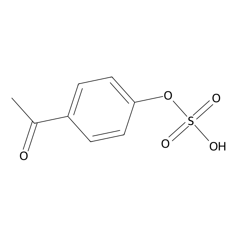 4-Acetylphenol sulfate