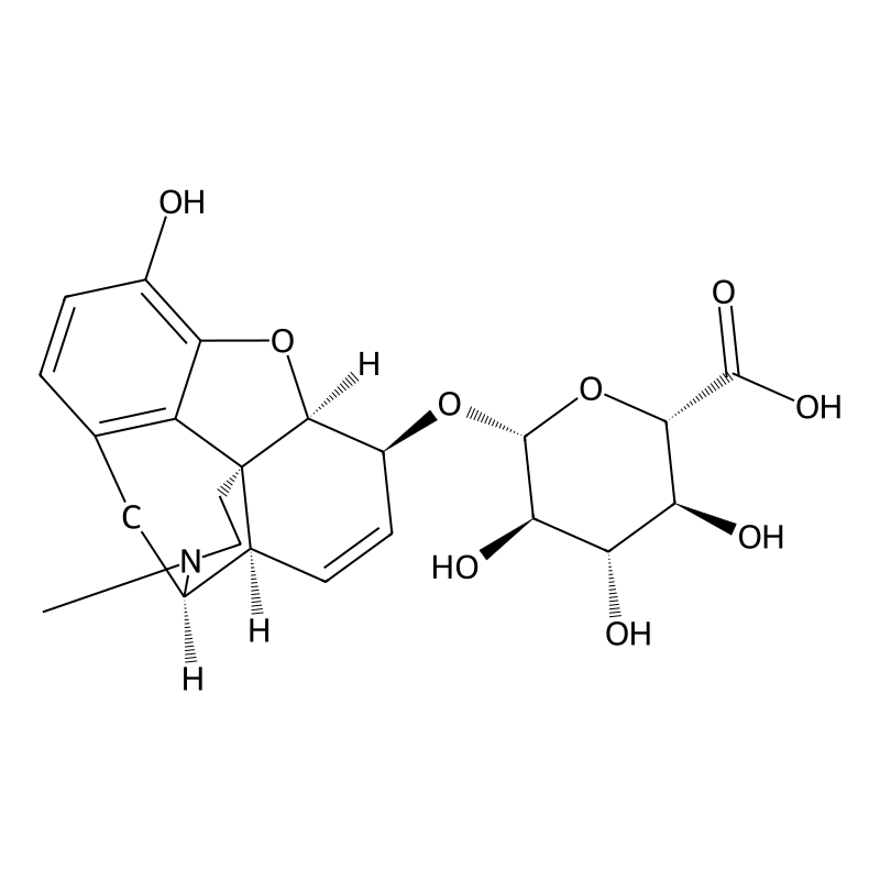 Morphine-6-glucuronide