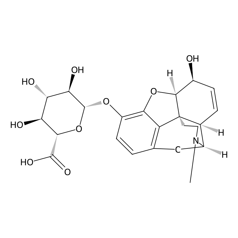 Morphine-3-glucuronide