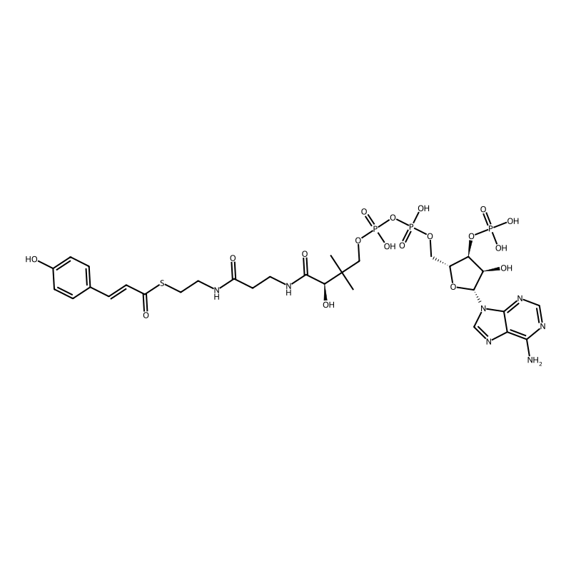 4-coumaroyl-CoA