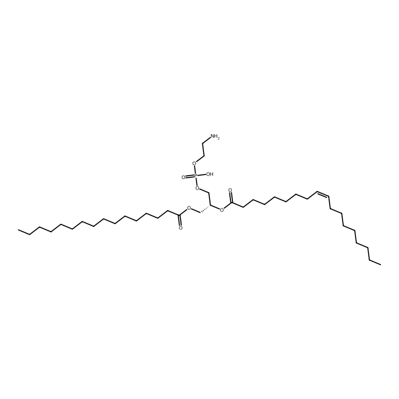 1-Palmitoyl-2-oleoyl-sn-glycero-3-phosphoethanolam...