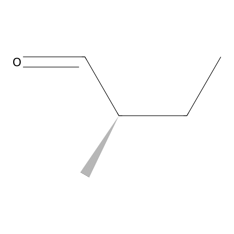 (S)-2-methylbutanal