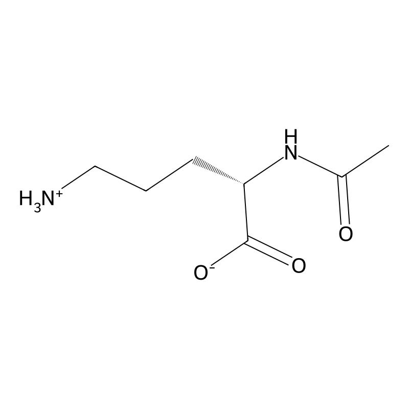 N-acetylornithine