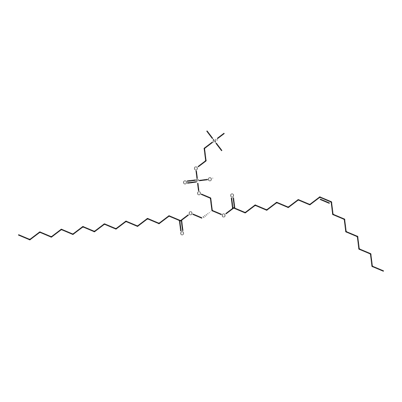 1-Palmitoyl-2-oleoyl-sn-glycero-3-phosphocholine