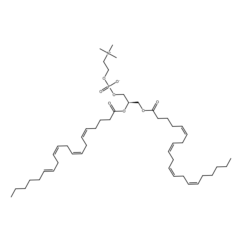 [(2R)-2-[(5Z,8Z,11Z,14E)-icosa-5,8,11,14-tetraenoyl]oxy-3-[(5Z,8Z,11Z,14Z)-icosa-5,8,11,14-tetraenoyl]oxypropyl] 2-(trimethylazaniumyl)ethyl phosphate