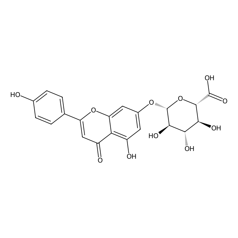 Apigenin 7-glucuronide