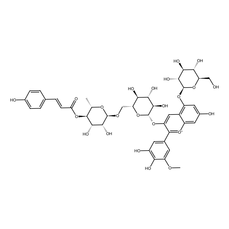 Petunidin-3-(p-coumaroyl)-rutinoside-5-glucoside