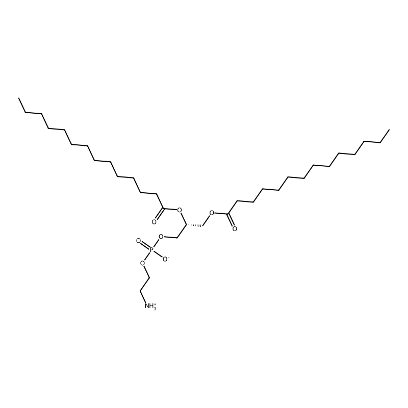 1,2-Dimyristoyl-sn-glycero-3-phosphoethanolamine