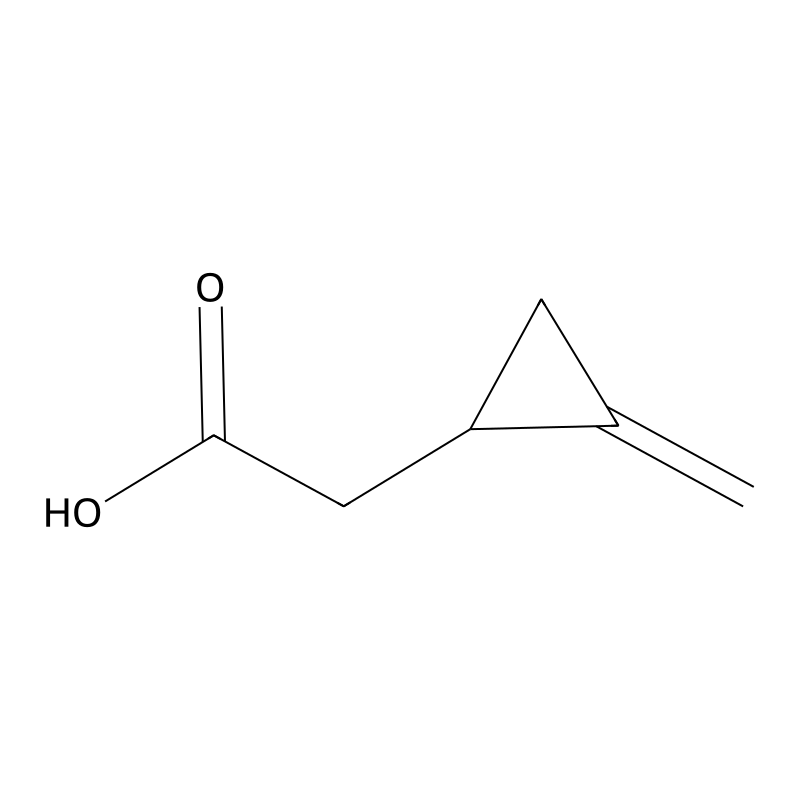 2-Methylenecyclopropaneacetic Acid