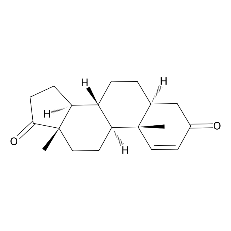 1-Androstenedione